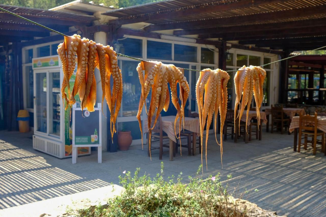Villa Demetra Kíssamos Esterno foto